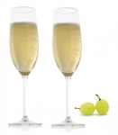 შამპანურის ჭიქა Vacu Vin 2 ცალი სასაჩუქრე ყუთში